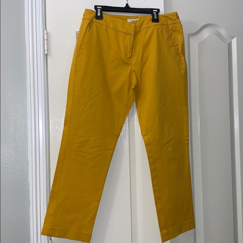 NY&Co mustard yellow pants